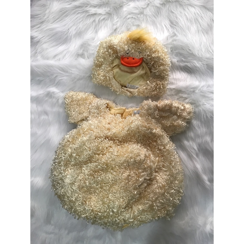 The children’s place duck costume